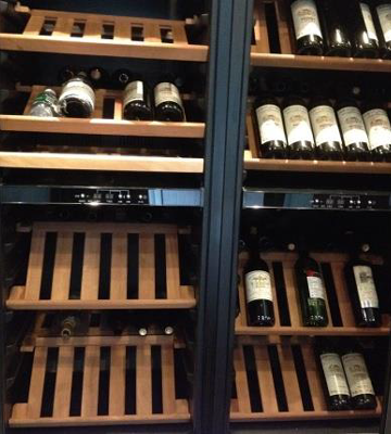 Customized Cooler Img02 wine cellar